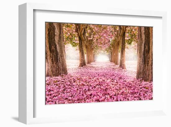 Pink Cherry Blossom Tunnel-null-Framed Art Print