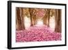 Pink Cherry Blossom Tunnel-null-Framed Art Print