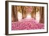 Pink Cherry Blossom Tunnel-null-Framed Art Print