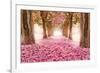 Pink Cherry Blossom Tunnel-null-Framed Art Print