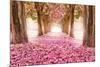 Pink Cherry Blossom Tunnel-null-Mounted Art Print