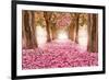 Pink Cherry Blossom Tunnel-null-Framed Art Print