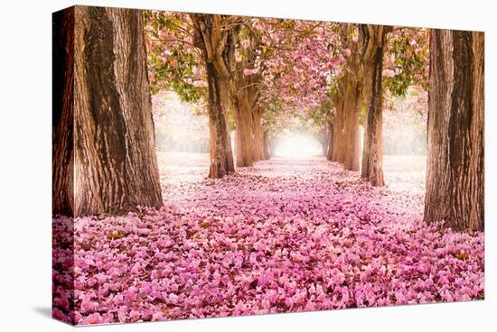 Pink Cherry Blossom Tunnel-null-Stretched Canvas