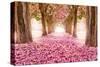 Pink Cherry Blossom Tunnel-null-Stretched Canvas