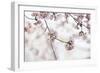 Pink Cherry Blossoms Bloom On Tree In Spring At The Peak Of Cherry Blossom Season, Washington, DC-Karine Aigner-Framed Photographic Print