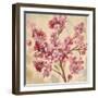 Pink Cherry Branch I-null-Framed Art Print