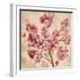 Pink Cherry Branch I-null-Framed Art Print