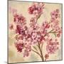 Pink Cherry Branch I-null-Mounted Art Print