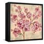 Pink Cherry Branch II-null-Framed Stretched Canvas