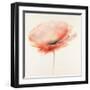 Pink Chiffon I-J^P^ Prior-Framed Giclee Print