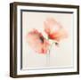 Pink Chiffon II-J^P^ Prior-Framed Giclee Print