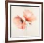 Pink Chiffon II-J^P^ Prior-Framed Giclee Print