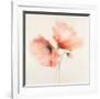 Pink Chiffon II-J^P^ Prior-Framed Giclee Print