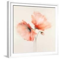 Pink Chiffon II-J^P^ Prior-Framed Giclee Print