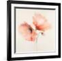 Pink Chiffon II-J^P^ Prior-Framed Giclee Print