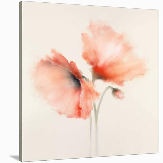 Pink Chiffon II-J^P^ Prior-Stretched Canvas