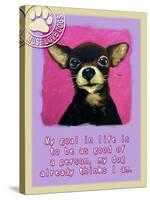 Pink Chihuahua-Cathy Cute-Stretched Canvas