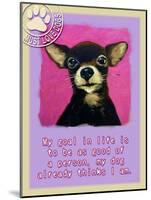 Pink Chihuahua-Cathy Cute-Mounted Giclee Print