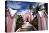 Pink Church, Hamilton, Bermuda-George Oze-Stretched Canvas