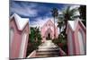 Pink Church, Hamilton, Bermuda-George Oze-Mounted Photographic Print