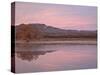 Pink Clouds and Pond at Sunrise, Bosque Del Apache National Wildlife Refuge, New Mexico, USA-James Hager-Stretched Canvas