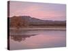 Pink Clouds and Pond at Sunrise, Bosque Del Apache National Wildlife Refuge, New Mexico, USA-James Hager-Stretched Canvas