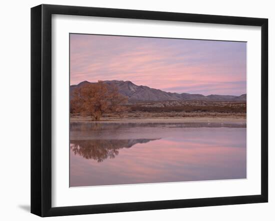 Pink Clouds and Pond at Sunrise, Bosque Del Apache National Wildlife Refuge, New Mexico, USA-James Hager-Framed Photographic Print