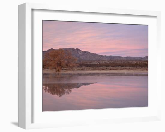 Pink Clouds and Pond at Sunrise, Bosque Del Apache National Wildlife Refuge, New Mexico, USA-James Hager-Framed Photographic Print