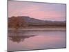 Pink Clouds and Pond at Sunrise, Bosque Del Apache National Wildlife Refuge, New Mexico, USA-James Hager-Mounted Photographic Print