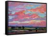 Pink Clouds Over the Foothills-Patty Baker-Framed Stretched Canvas