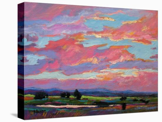 Pink Clouds Over the Foothills-Patty Baker-Stretched Canvas