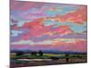 Pink Clouds Over the Foothills-Patty Baker-Mounted Art Print