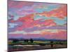 Pink Clouds Over the Foothills-Patty Baker-Mounted Art Print