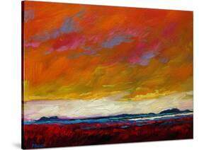 Pink Clouds over the Plains-Patty Baker-Stretched Canvas