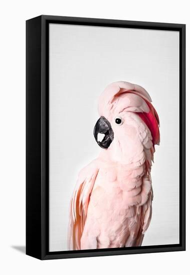 Pink Cockatoo-Sisi and Seb-Framed Stretched Canvas