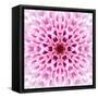 Pink Concentric Flower Center: Mandala Kaleidoscopic Design-tr3gi-Framed Stretched Canvas