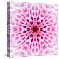 Pink Concentric Flower Center: Mandala Kaleidoscopic Design-tr3gi-Stretched Canvas