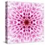 Pink Concentric Flower Center: Mandala Kaleidoscopic Design-tr3gi-Stretched Canvas