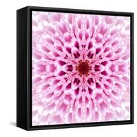 Pink Concentric Flower Center: Mandala Kaleidoscopic Design-tr3gi-Framed Stretched Canvas