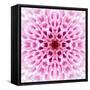 Pink Concentric Flower Center: Mandala Kaleidoscopic Design-tr3gi-Framed Stretched Canvas