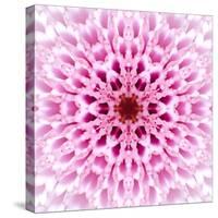 Pink Concentric Flower Center: Mandala Kaleidoscopic Design-tr3gi-Stretched Canvas