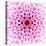 Pink Concentric Flower Center: Mandala Kaleidoscopic Design-tr3gi-Stretched Canvas
