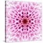 Pink Concentric Flower Center: Mandala Kaleidoscopic Design-tr3gi-Stretched Canvas