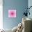 Pink Concentric Flower Center: Mandala Kaleidoscopic Design-tr3gi-Art Print displayed on a wall