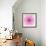 Pink Concentric Flower Center: Mandala Kaleidoscopic Design-tr3gi-Framed Art Print displayed on a wall