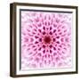 Pink Concentric Flower Center: Mandala Kaleidoscopic Design-tr3gi-Framed Art Print