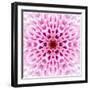 Pink Concentric Flower Center: Mandala Kaleidoscopic Design-tr3gi-Framed Art Print