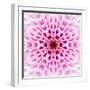 Pink Concentric Flower Center: Mandala Kaleidoscopic Design-tr3gi-Framed Art Print