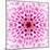 Pink Concentric Flower Center: Mandala Kaleidoscopic Design-tr3gi-Mounted Art Print