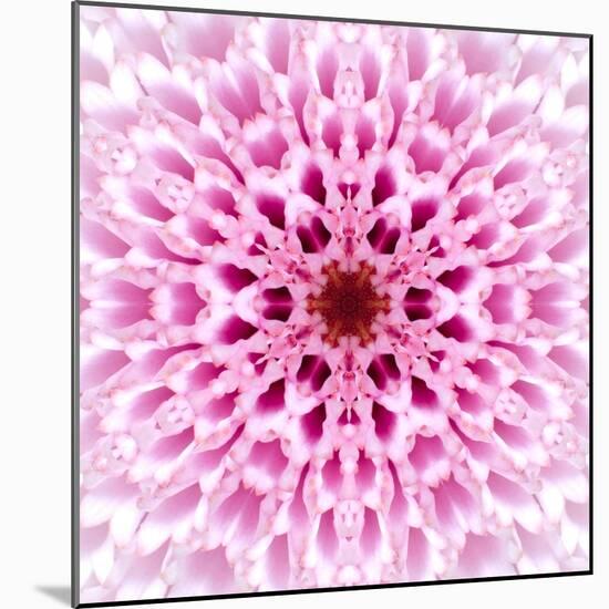 Pink Concentric Flower Center: Mandala Kaleidoscopic Design-tr3gi-Mounted Art Print